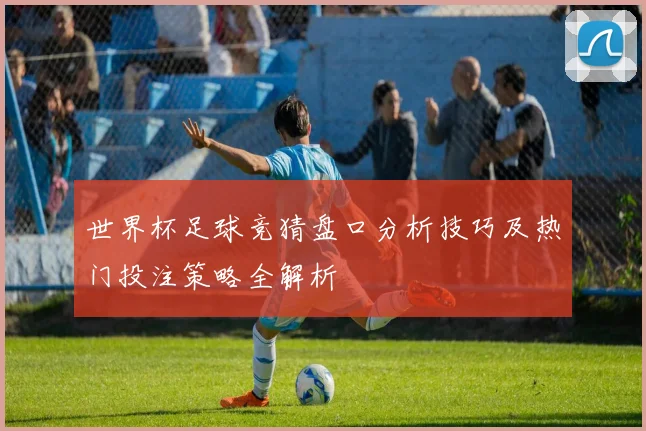 世界杯足球竞猜盘口分析技巧及热门投注策略全解析