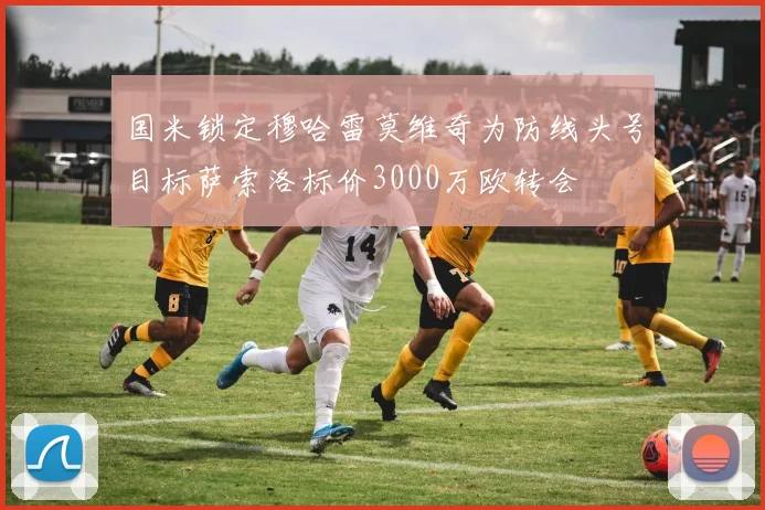 国米锁定穆哈雷莫维奇为防线头号目标萨索洛标价3000万欧转会